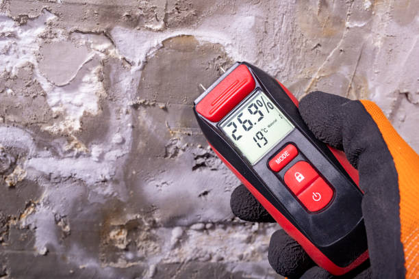 Best Emergency Mold Remediation in Eden Prairie, MN
