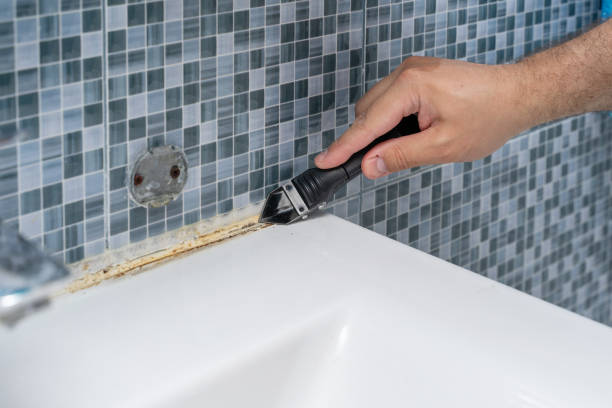 Best Insurance-Related Mold Remediation in Eden Prairie, MN