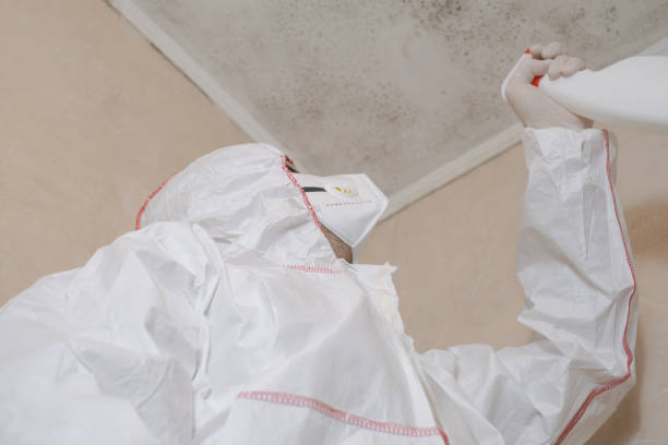 Best Bathroom Mold Remediation in Eden Prairie, MN